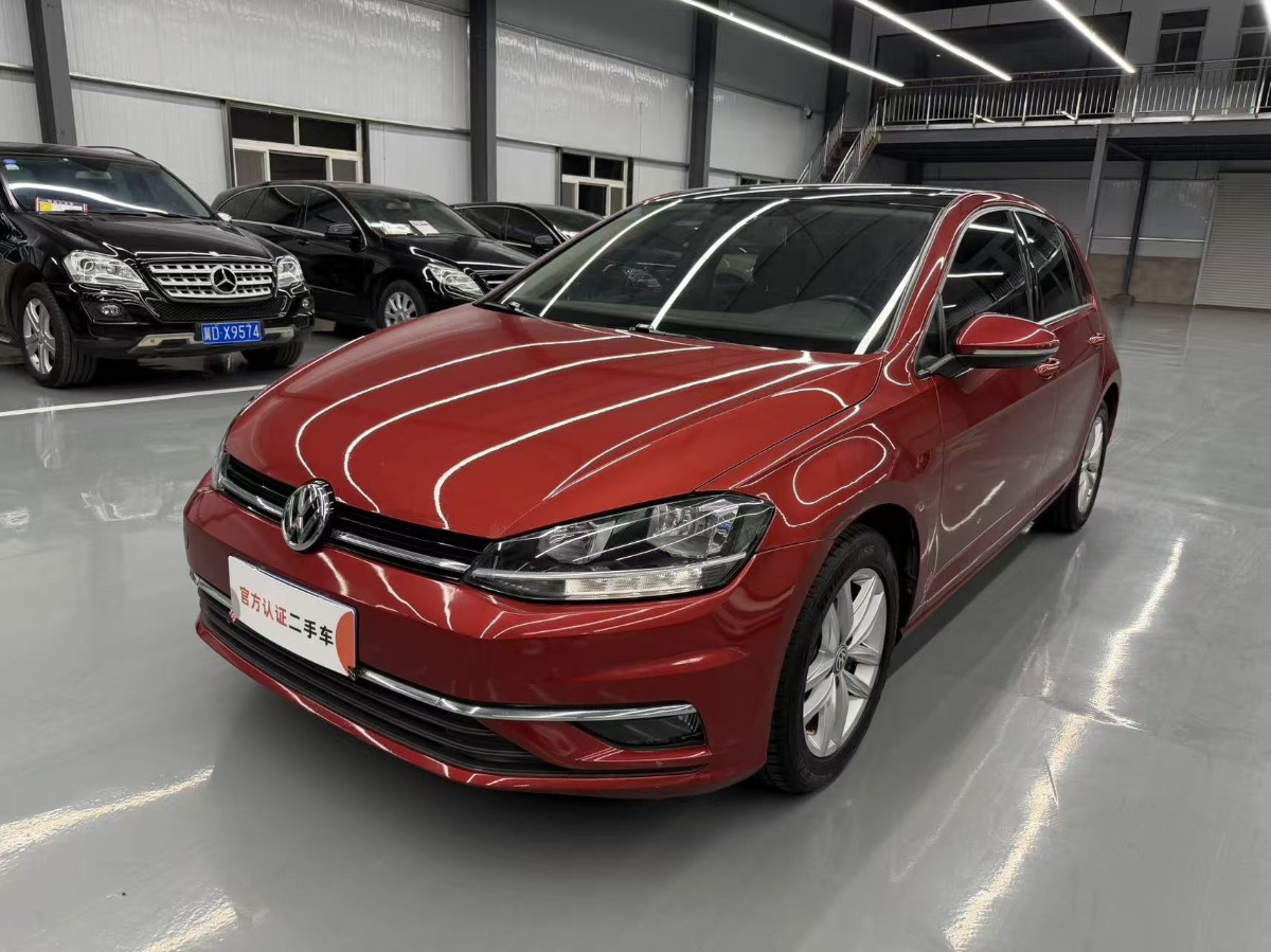 Volkswagen Golf 2019 car image 