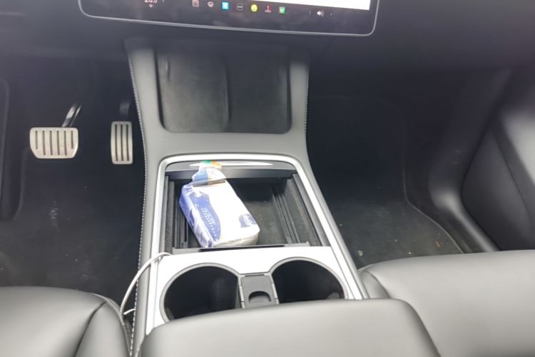 Tesla Model Y 2021 car image #14