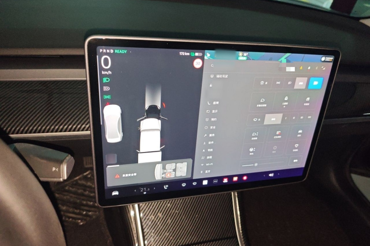 Tesla Model 3 2020 car image #16