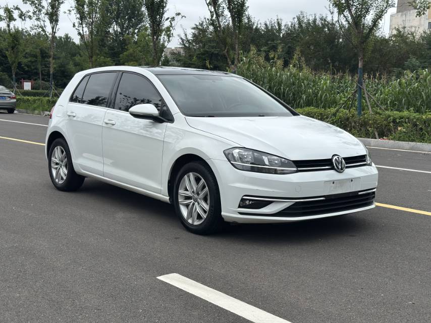 Volkswagen Golf 2019 #3 Volkswagen Golf 2019 car image #3