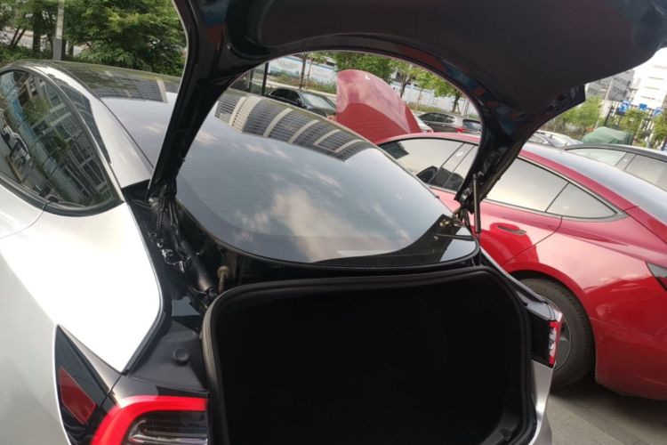 Tesla Model 3 2021 car image #19