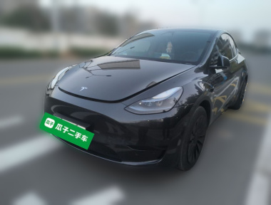Tesla Model Y 2024 Tesla Model Y 2024 immagine di auto