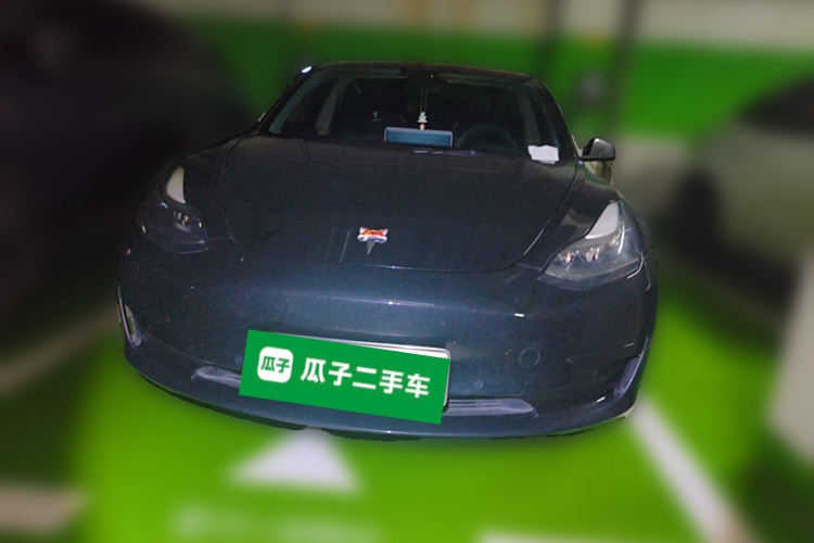 Tesla Model 3 2021 car image #3