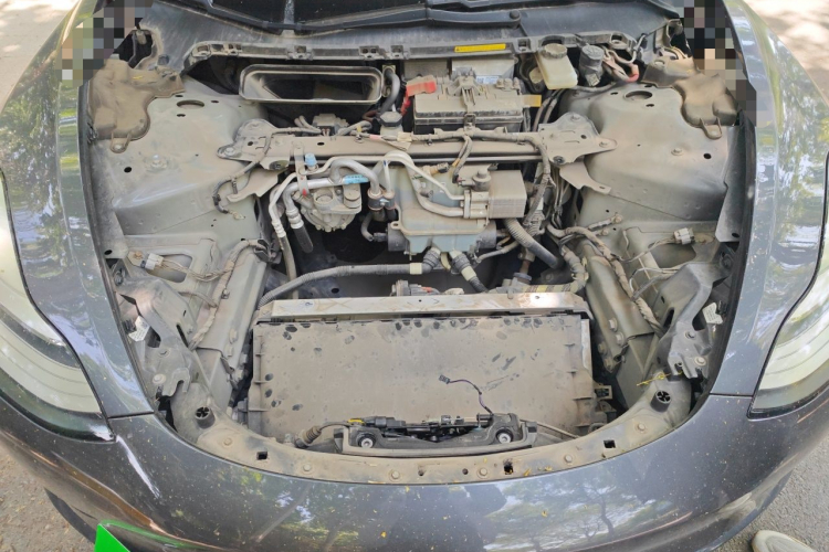 Tesla Model 3 2020 car image #18
