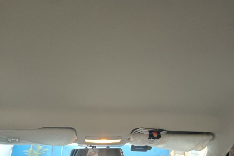 Volkswagen Santana 2019 car image #20