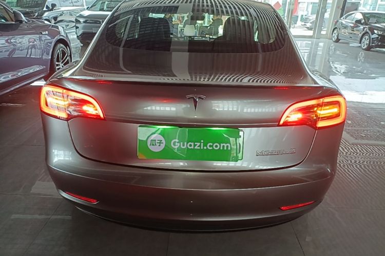 Tesla Model 3 2021 car image #6