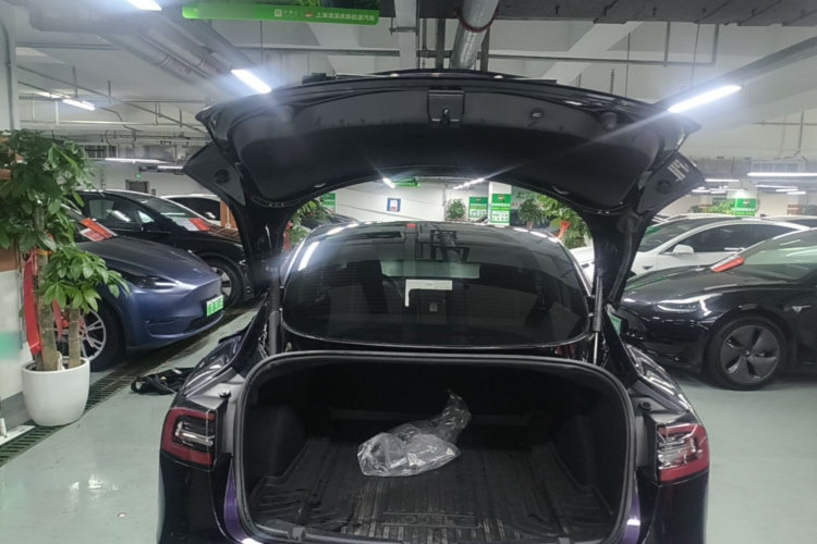 Tesla Model 3 2021 car image #19