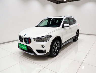 BMW X1 2019 car image 