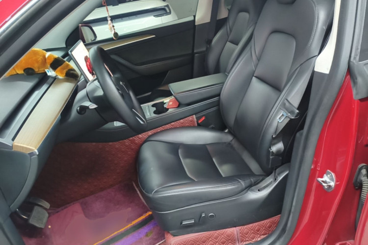 Tesla Model Y 2021 car image #15