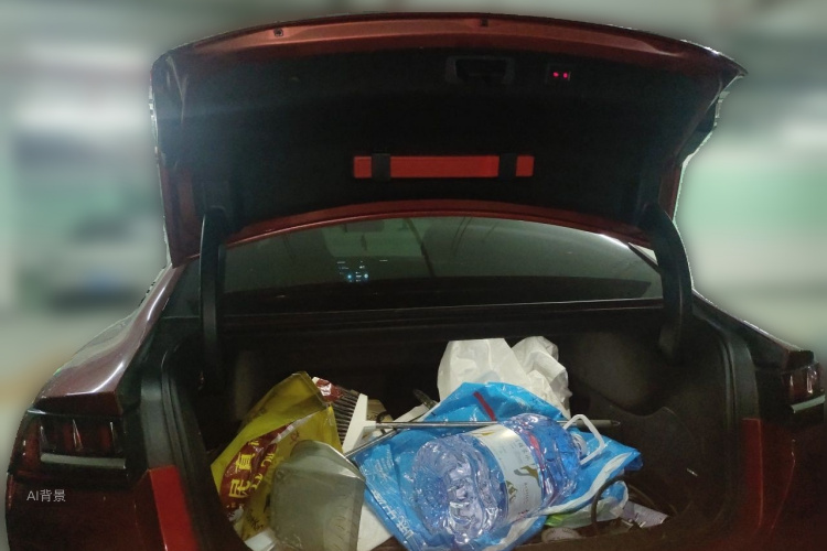 BYD Han 2022 immagine di auto #21
