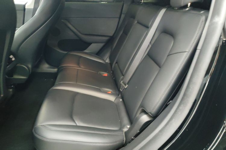 Tesla Model Y 2024 car image #17