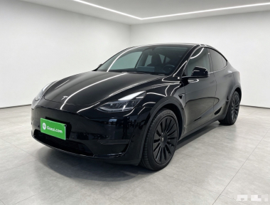 Tesla Model Y 2022 car image 