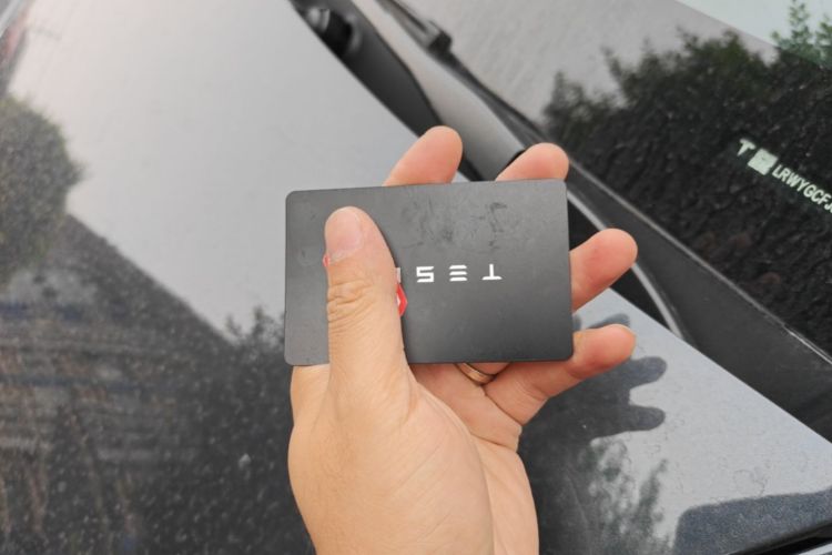 Tesla Model Y 2024 #9 Tesla Model Y 2024 car image #9