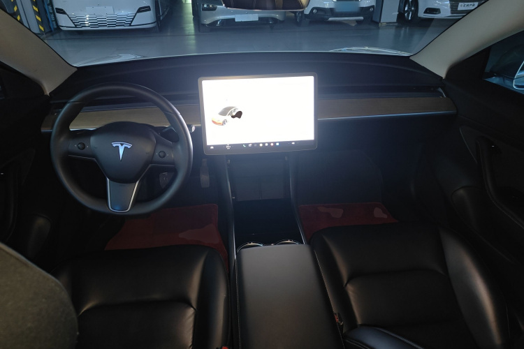 Tesla Model 3 2020 car image #10