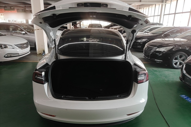 Tesla Model 3 2020 car image #21