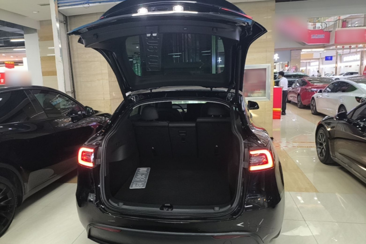 Tesla Model Y 2023 #21 Tesla Model Y 2023 car image #21