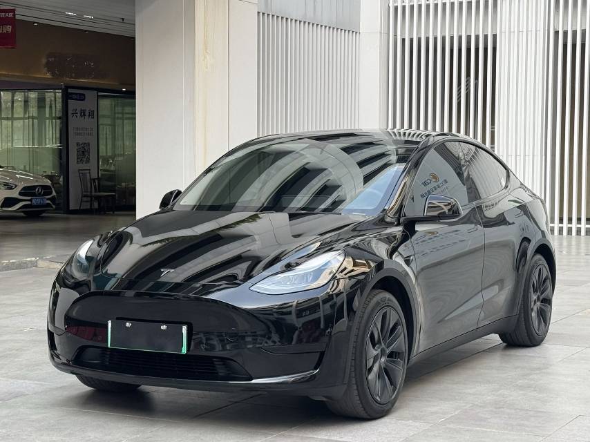 Tesla Model Y 2024 car image 