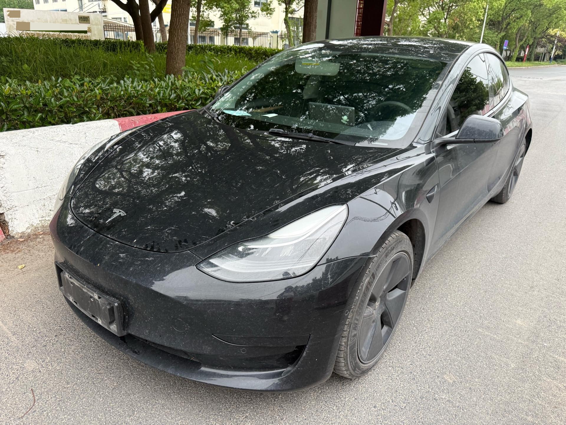 Tesla Model 3 2021 Tesla Model 3 2021 car image