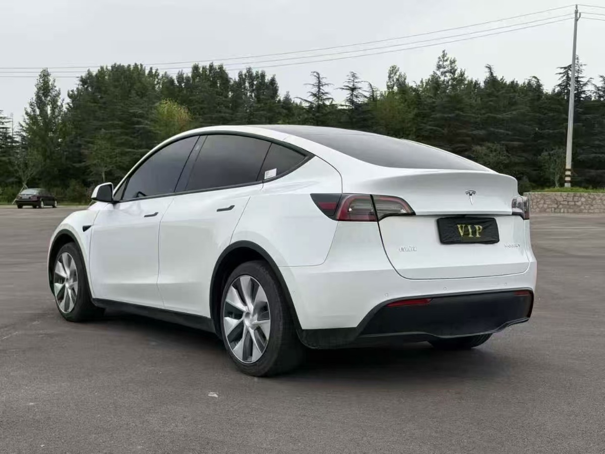 Tesla Model Y 2021 car image #9