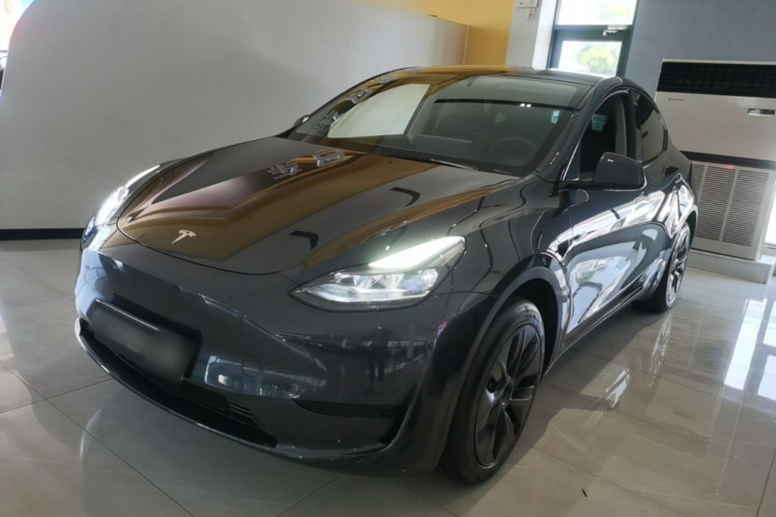 Tesla Model Y 2024 Tesla Model Y 2024 car image