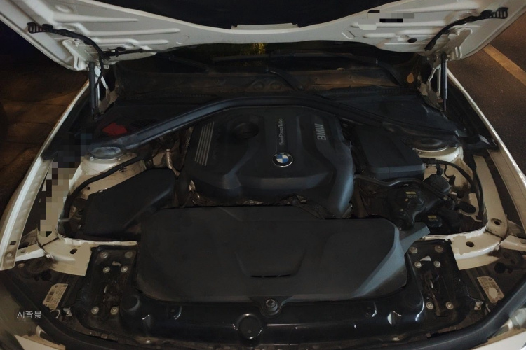 BMW 3 Series 2019 car image #22