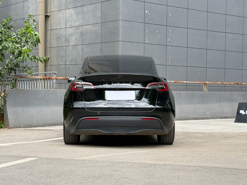 Tesla Model Y 2024 #6 Tesla Model Y 2024 car image #6