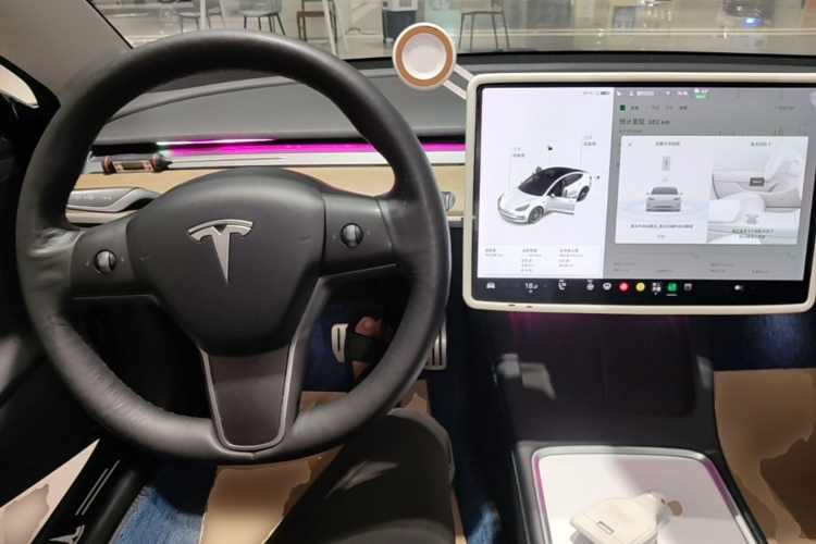 Tesla Model 3 2021 immagine di auto #10