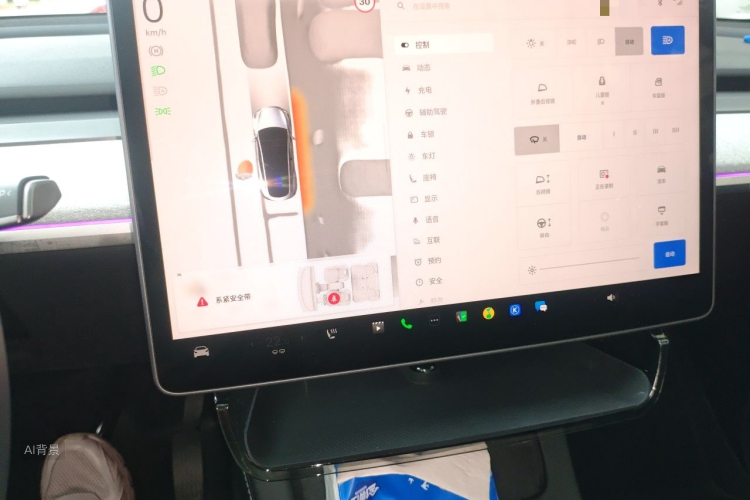 Tesla Model Y 2024 car image #15