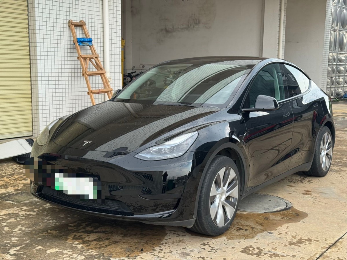 Tesla Model Y 2023 Tesla Model Y 2023 car image