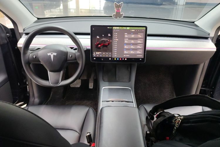 Tesla Model Y 2024 car image #10
