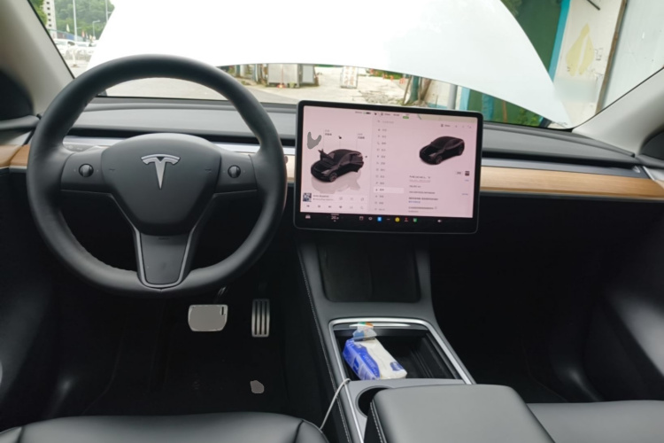 Tesla Model Y 2021 car image #10
