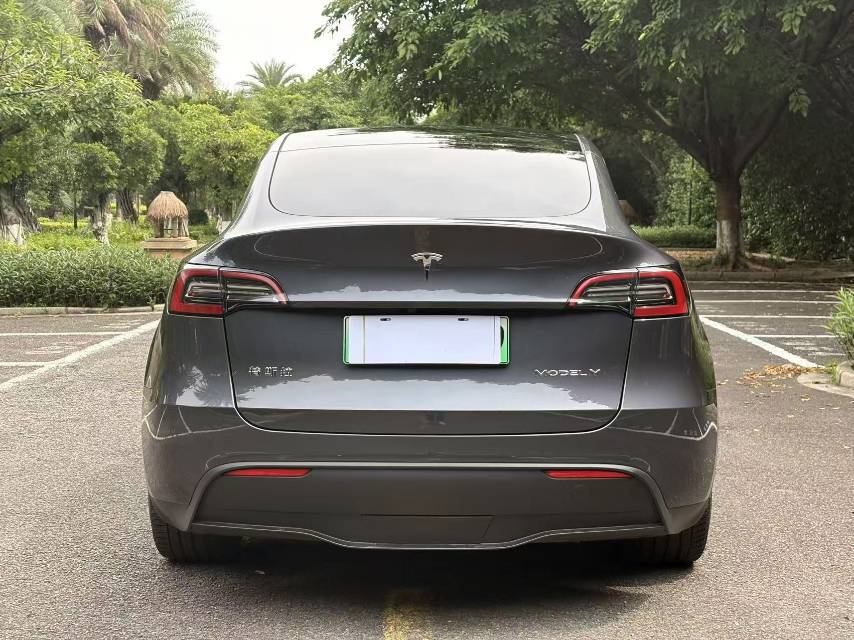 Tesla Model Y 2021 car image #5