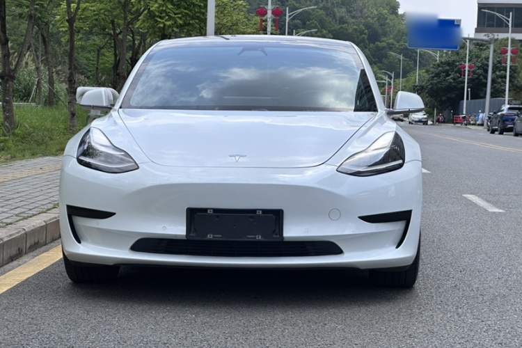 Tesla Model 3 2020 car image #10