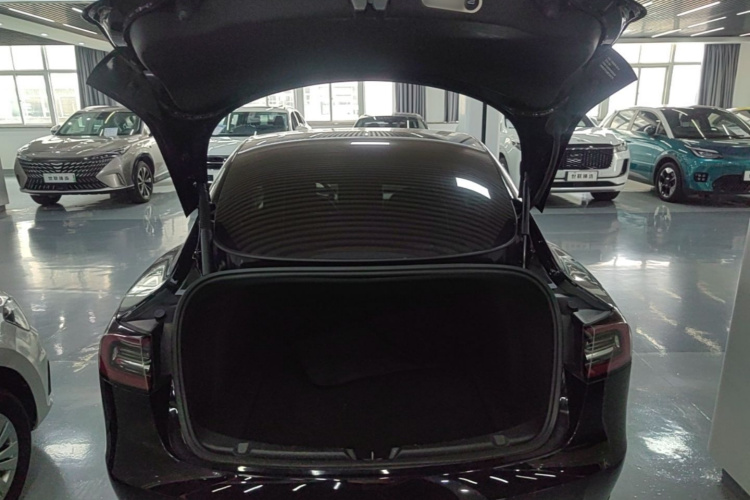 Tesla Model 3 2021 #21 Tesla Model 3 2021 car image #21