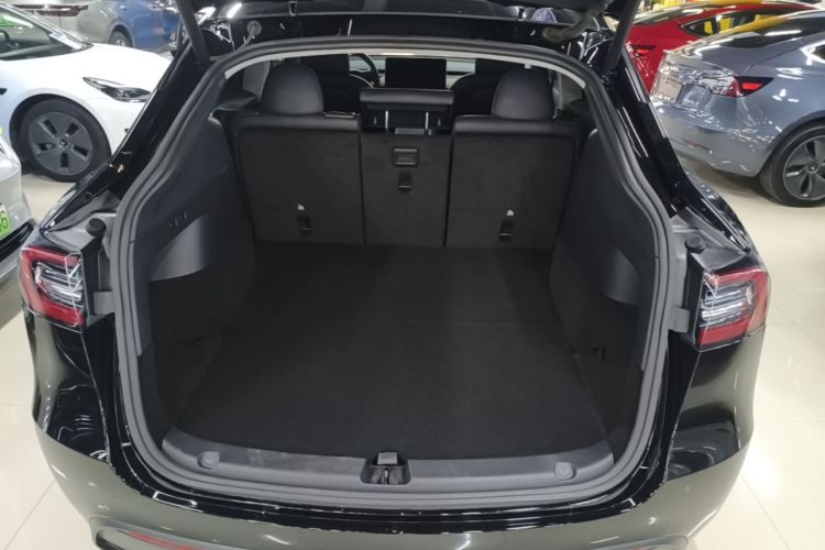 Tesla Model Y 2022 car image #21