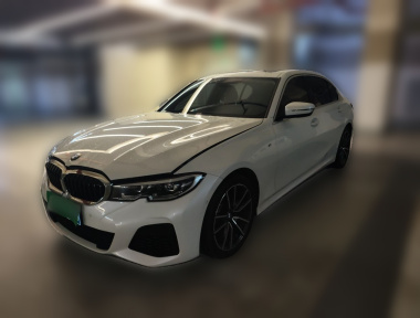 BMW 3 Series 2020 car image 