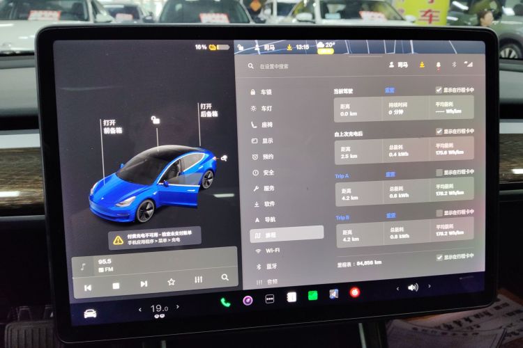 Tesla Model 3 2020 car image #12