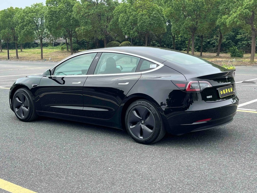 Tesla Model 3 2020 car image #8