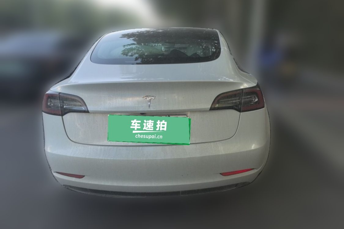Tesla Model 3 2020 #6 Tesla Model 3 2020 car image #6