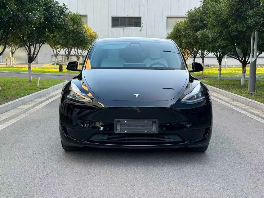 Tesla Model Y 2022 car image #2