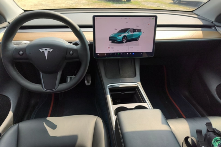 Tesla Model Y 2022 immagine di auto #11
