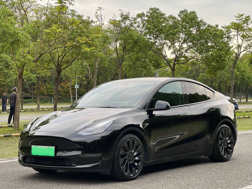 Tesla Model Y 2022 Tesla Model Y 2022 car image