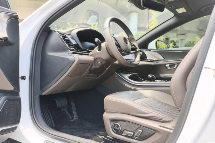 BYD Han 2020 car image #9