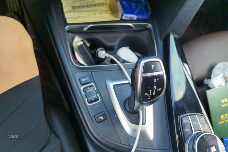 BMW 3 Series 2019 car image #16