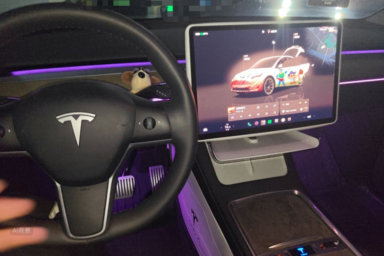 Tesla Model Y 2023 imagem de carro #13