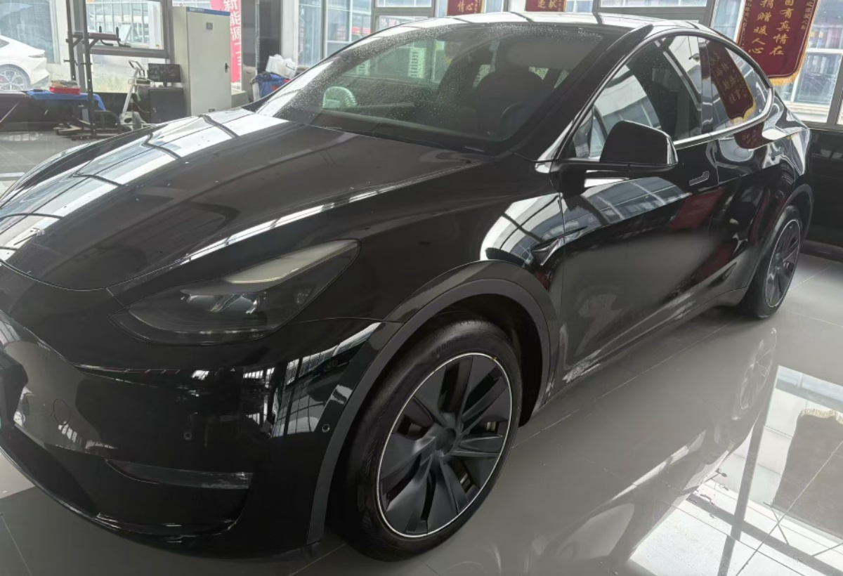 Tesla Model Y 2021 Tesla Model Y 2021 car image
