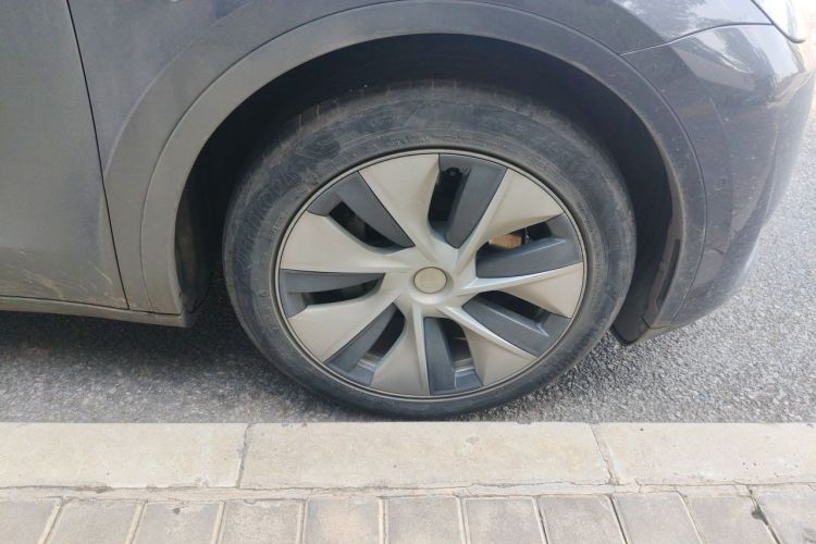 Tesla Model Y 2022 car image #6