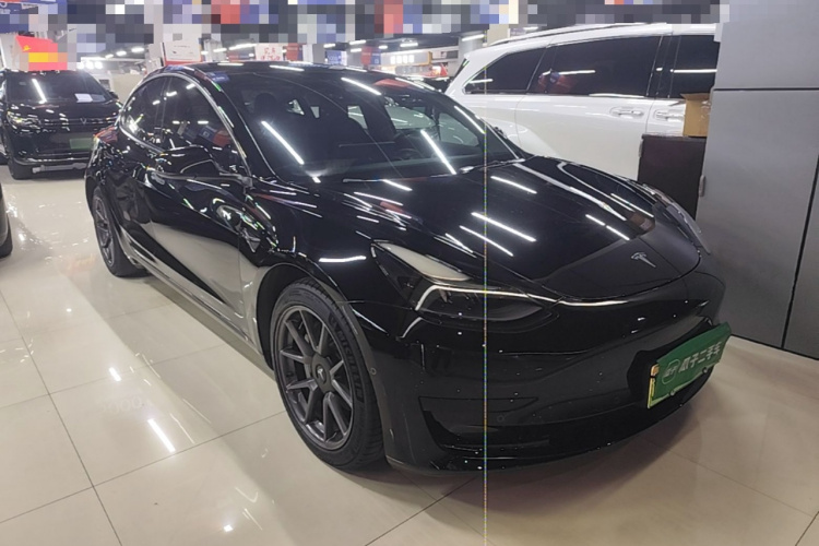Tesla Model 3 2021 immagine di auto #4