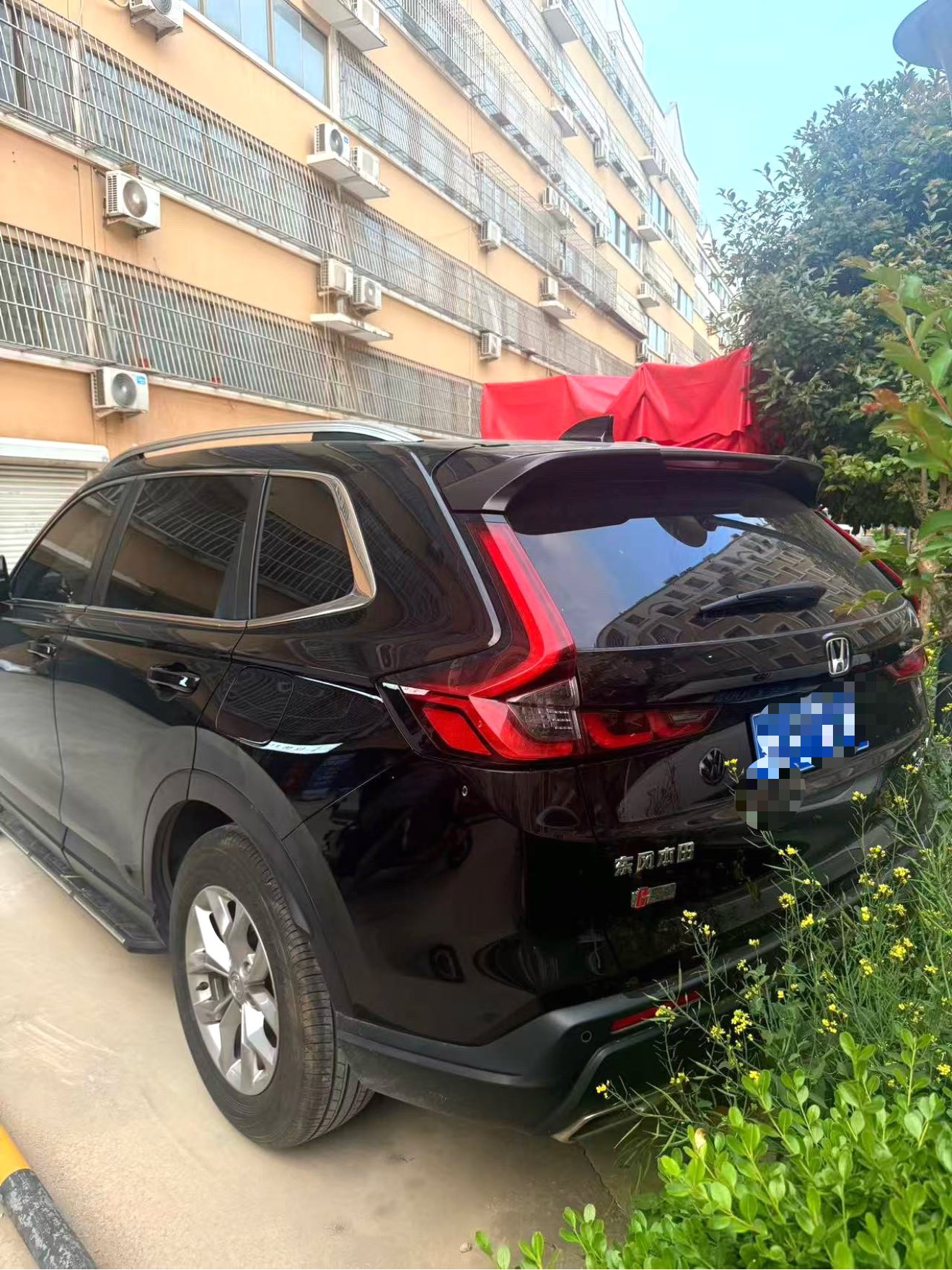 Honda CR-V 2023 car image #4