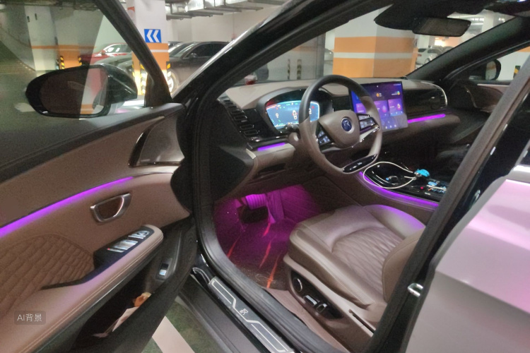 比亚迪 汉 2023 汽车图片 #18